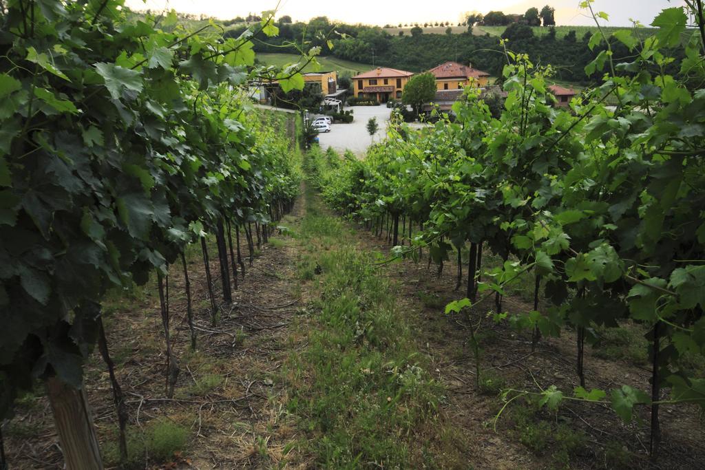 Agriturismo Gaggioli Borgo Delle Vigne Zola Predosa Exterior foto