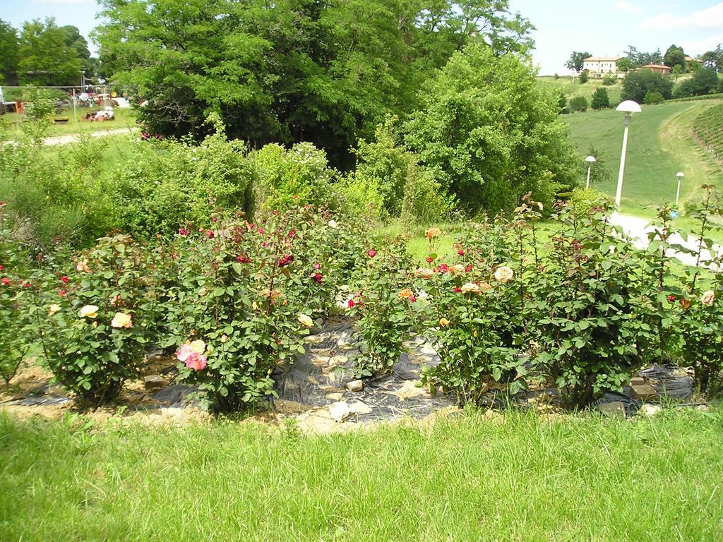 Agriturismo Gaggioli Borgo Delle Vigne Zola Predosa Exterior foto